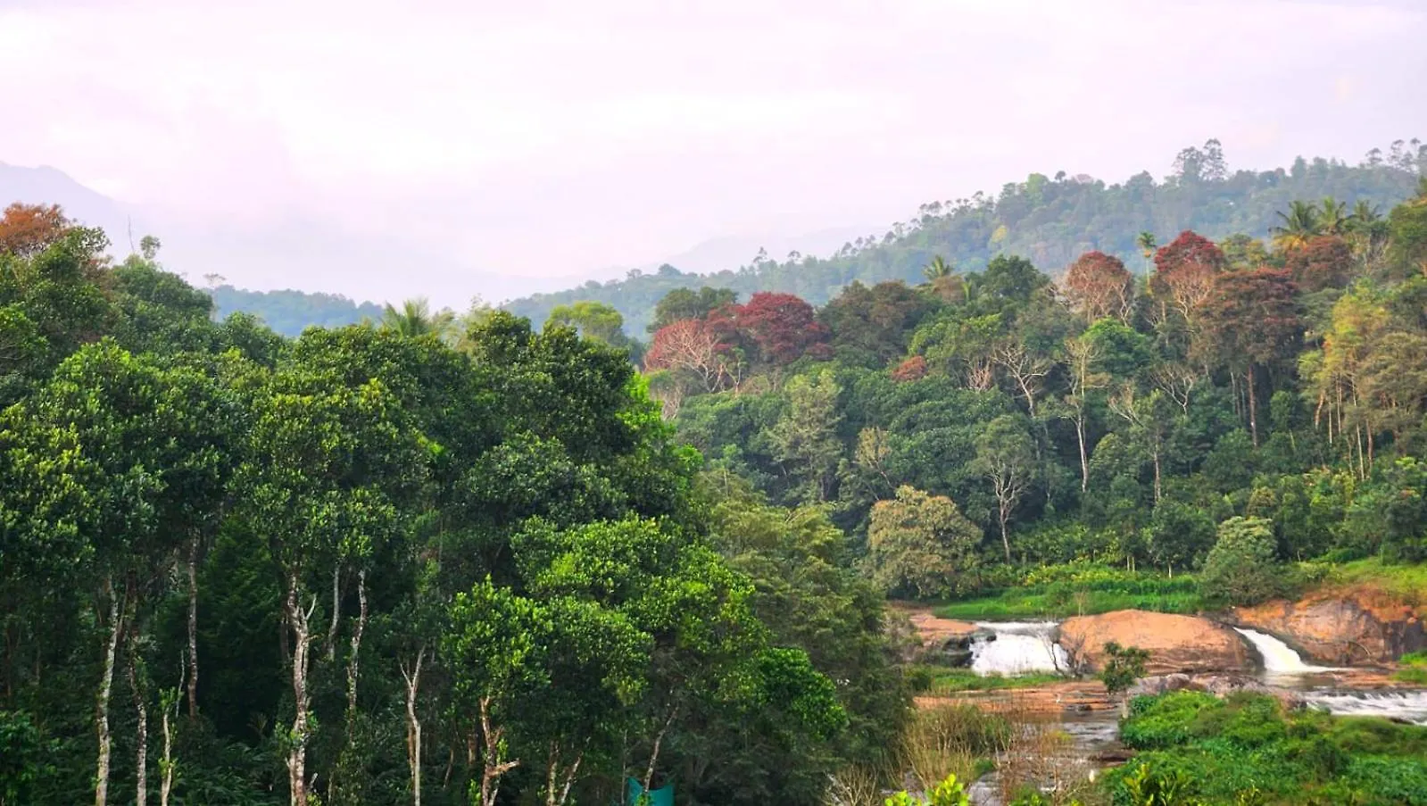 Uthuppan'S Holiday Home Munnar
